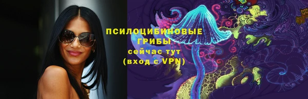 МДМА Медвежьегорск