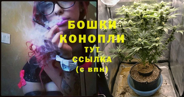 МДМА Медвежьегорск