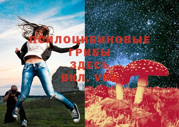 МДМА Медвежьегорск