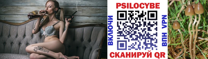 Купить где  Шилка  Галлюциногенные грибы MAGIC MUSHROOMS 